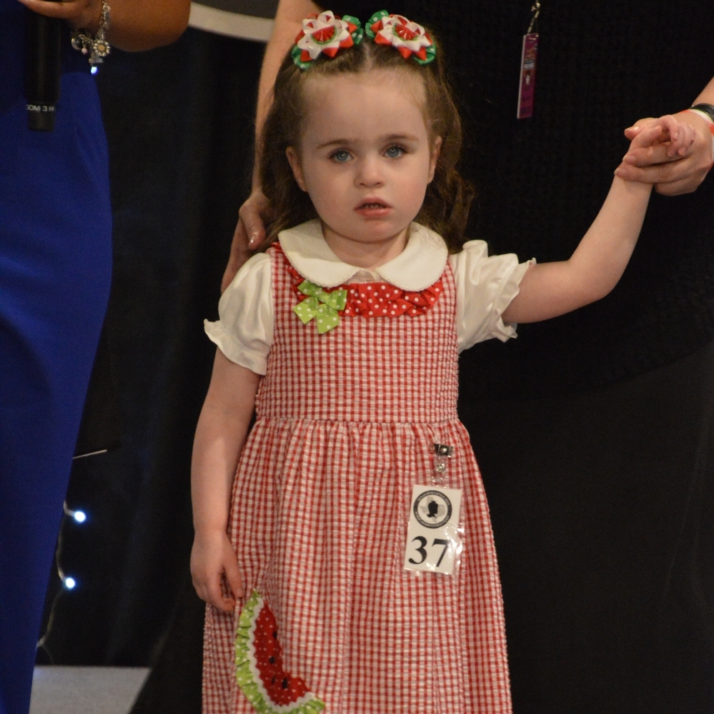 Emily Rose Red Gingham Dress with Watermelon Applique